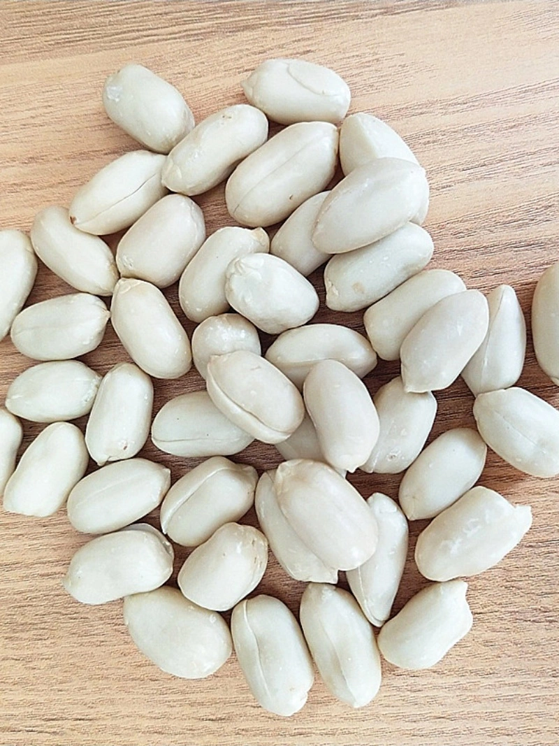 2023crop Blanched Peanut for Food Size 35/39/24/28