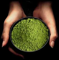 صبغات خضراء طبيعية صالحة للأكل تم اختيارها من قبل Alpine Green Matcha مسحوق الشاي