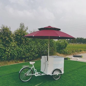 Jekeen DC Electric Mobile Food Bike Ice Cream Bike para la venta ambulante de alimentos en camión de comida