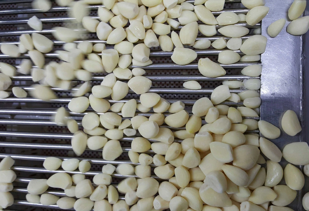 IQF Frozen Garlic Clove, Garlic Segment