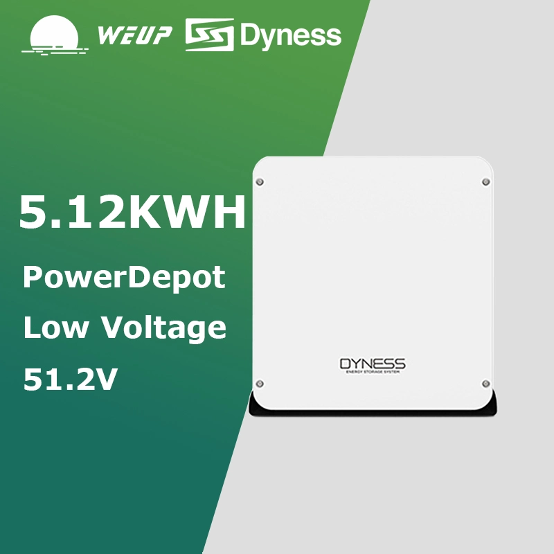 Pack Power Depot en rack 51,2 V Lithium-ion 5,12 kwh lithium 51,2 V. système d'énergie solaire 100 ah pour la maison