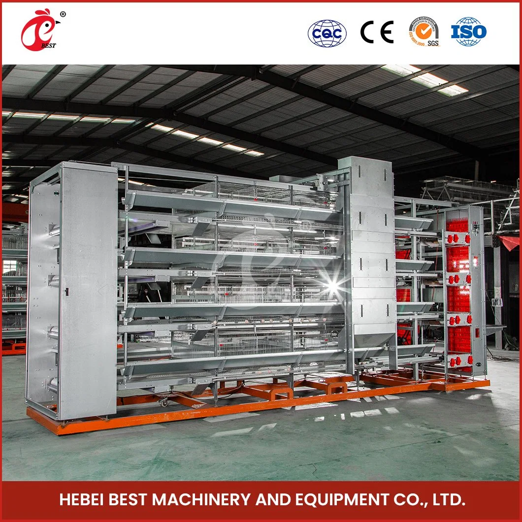 Bestchickencage H Type Layer Cage China Superior Construction Chicken Layer Coop Factory Custom Automatic Manure Removal System Designs Chicken Egg Layer Cages