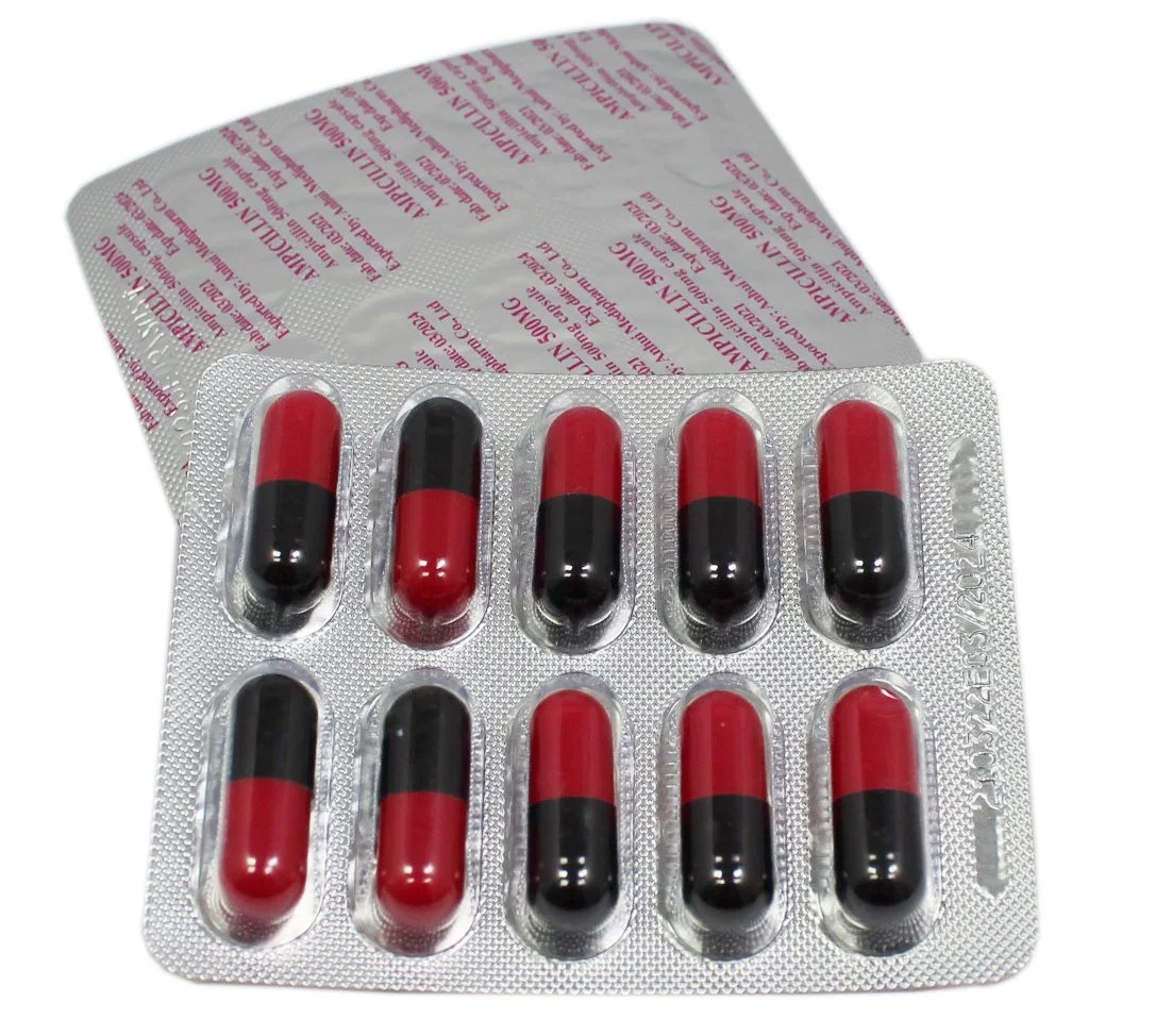 Cápsula de Ampici 500mg 10*10/Caja, Medicamento Occidental con GMP