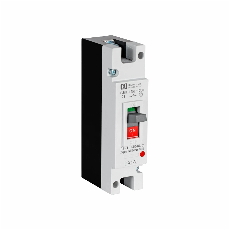 1 Pole 125A Circuit Breaker for Overload Circuit Protection High Breaking Capacity MCCB