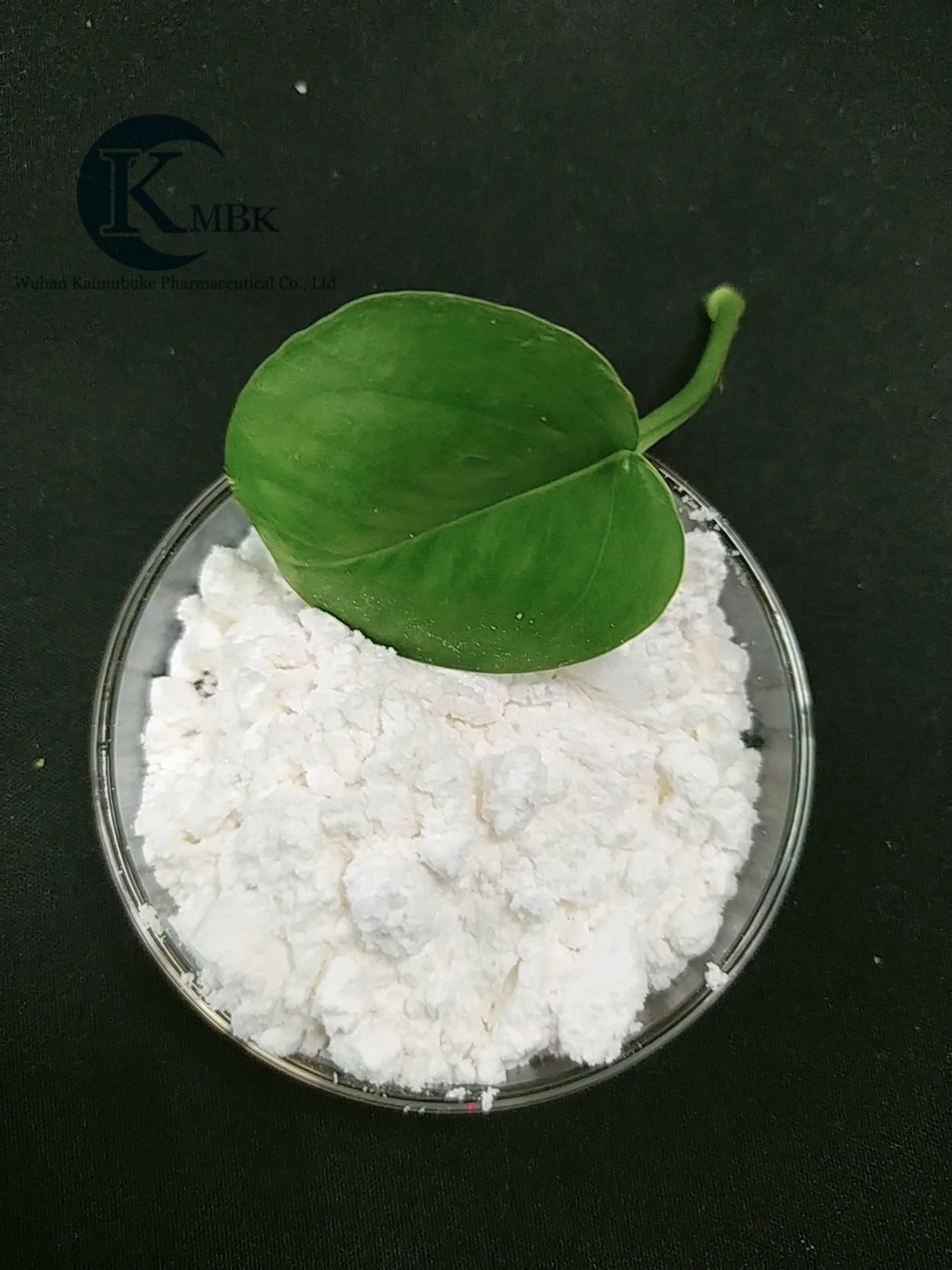 Best Price 90% CAS 1398-61-4 Pure Chitin Chitosan Powder Chitin for Sale