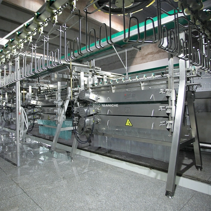 Stainless Steel 304 Frame Agricultural Poultry Farm Broiler Processing Air Chilling Line Equipment for Slaughterhouse Project