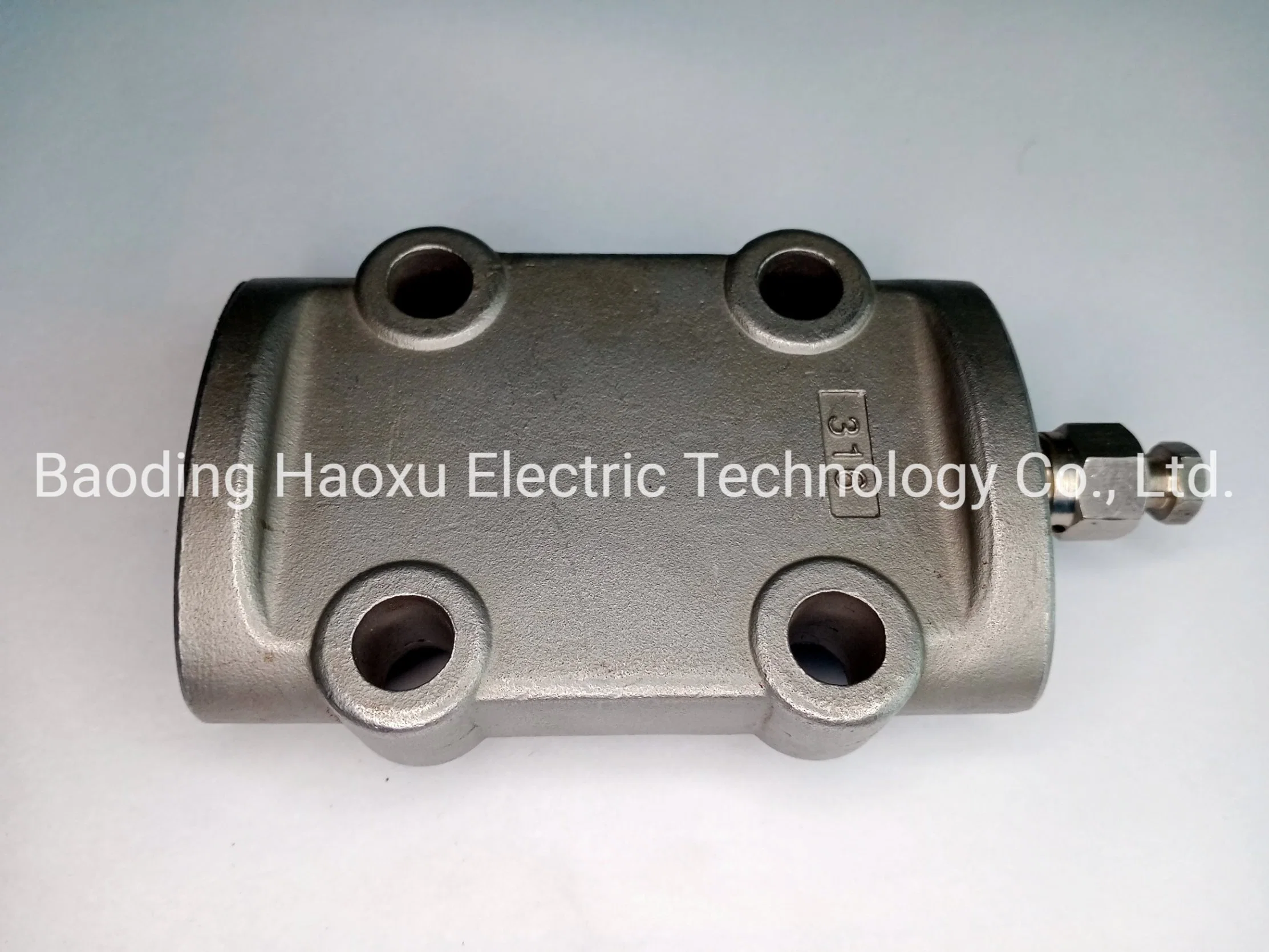 Lost Wax Casting Mini Metal Parts for Liquid Level Sensor From Haoxu Stainless Steel Factory