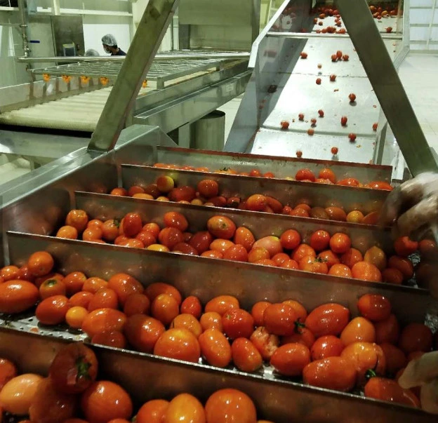 Commecial pasta de tomate ketchup//El puré de tomate con la línea de producción puede /Paquete de botella