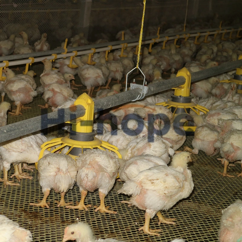 Équipement de la cage de poulets de chair de volaille automatique Coop Auger Pan Système d'alimentation