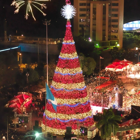 Outdoor Giant LED String Lights Christmas Tree for City Square Decoration