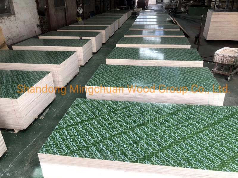 18mm Plastic PP Film Faced Plywood PVC Board Building Materials Combi Plywood