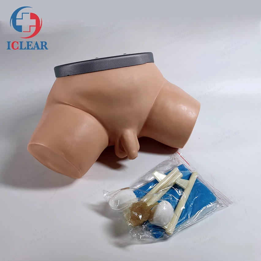 Medical Clinic Training Simulator Prostate Examination Manikin Model for Men