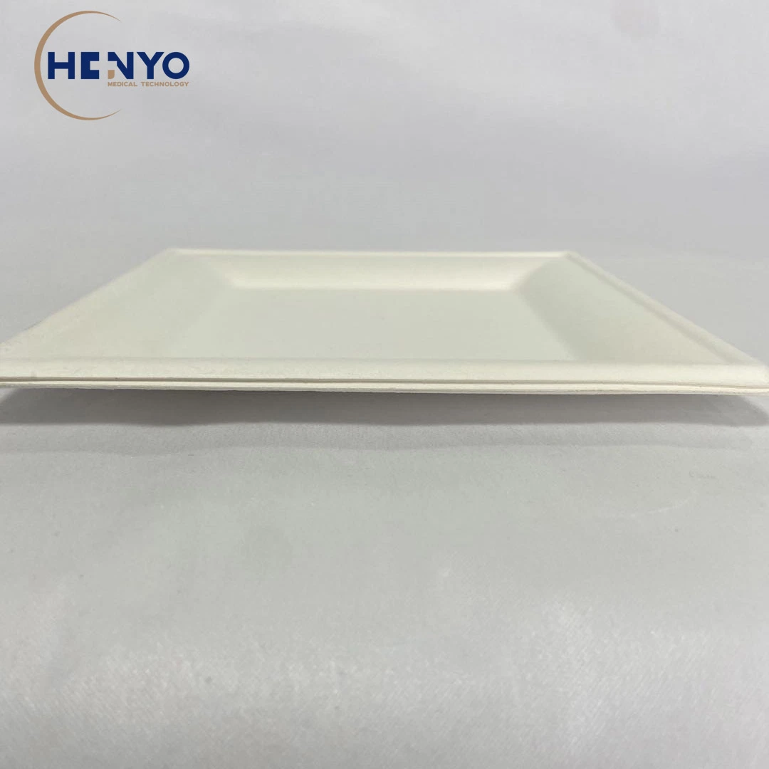 8-Inch Disposable Food Tray Eco-Friendly Biodegradable Square Food Tray