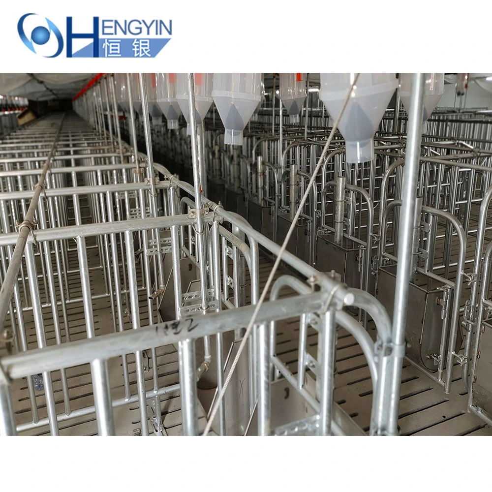 Eighty Percent Pig Farm Use Galvanized Pig Cages