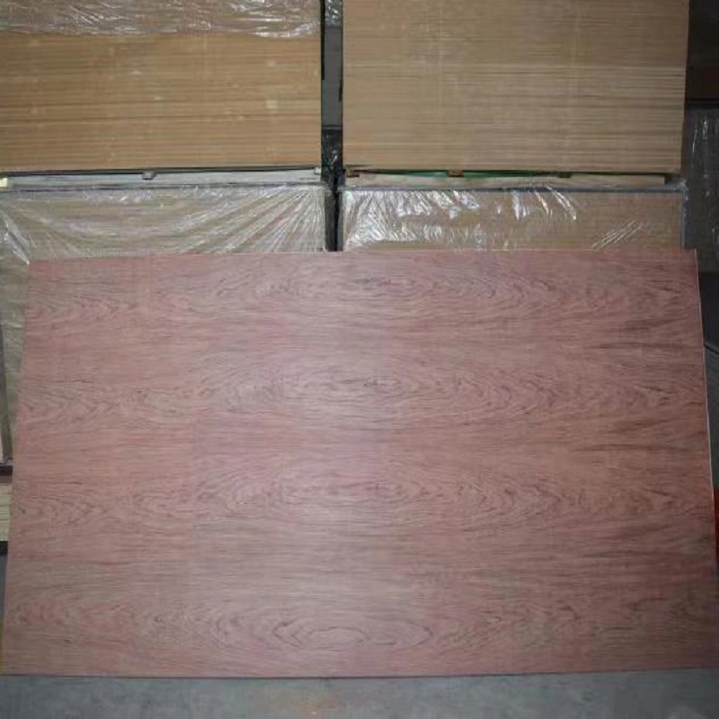 18 mm Bintangor Veneer Faced Commercial Plywood for Furniture