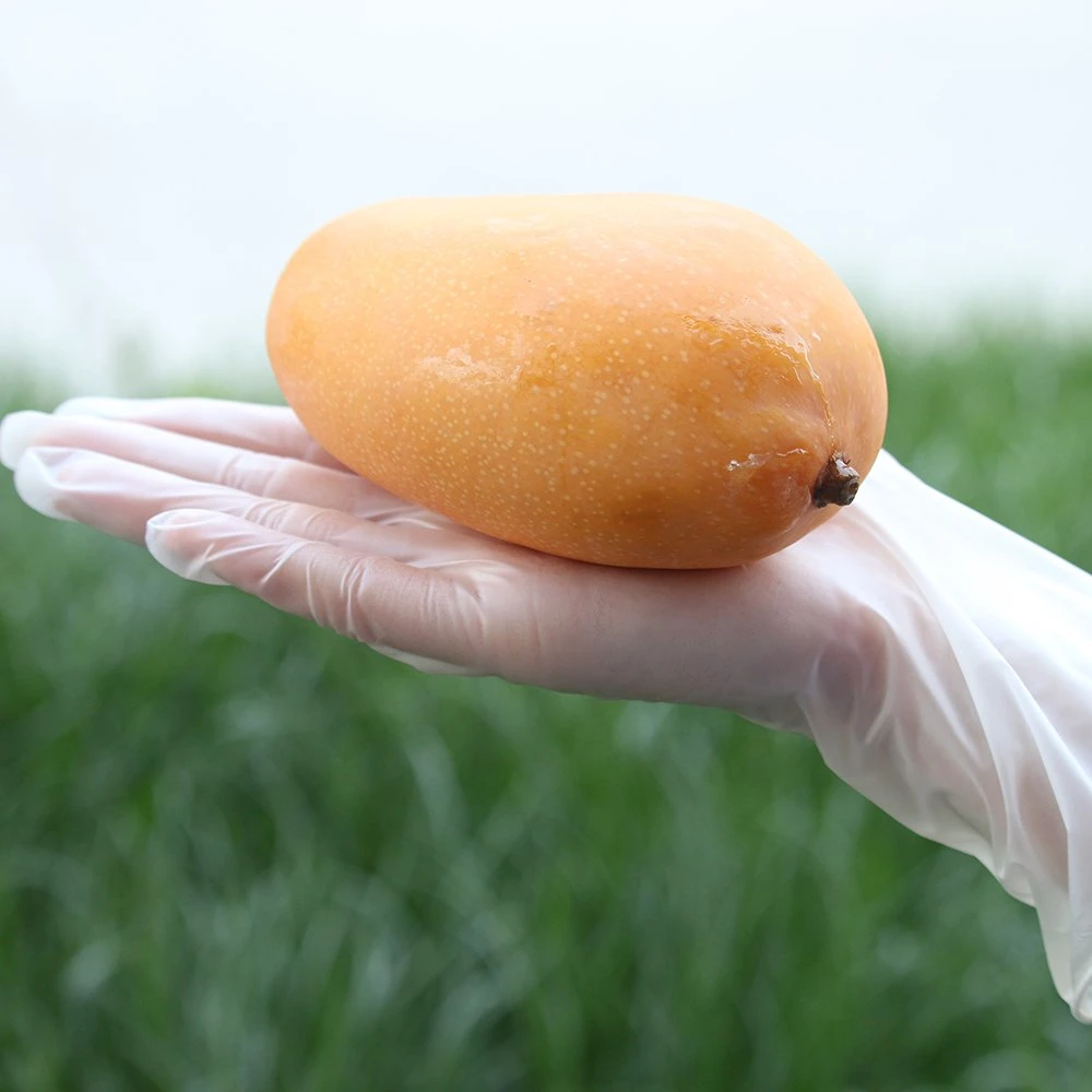 Desechables de vinilo Guantes de examen la limpieza de Hogar Cocina trabajo guantes de protección de PVC espesar 20 50 100 unidades pequeñas y medianas grandes