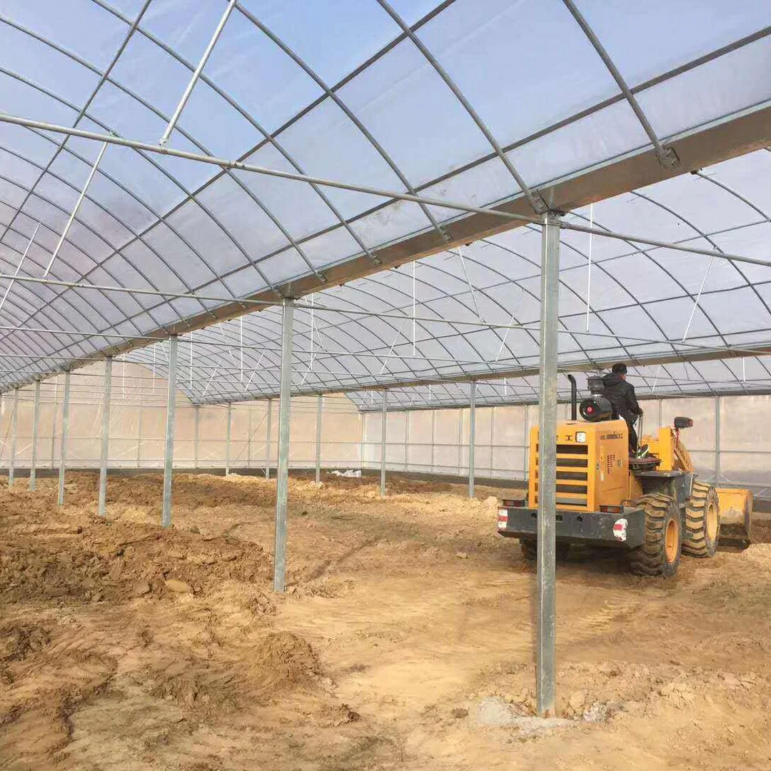 Poly Film/Polycarbonate Covering Gutter Connected Greenhouse for Agriculture