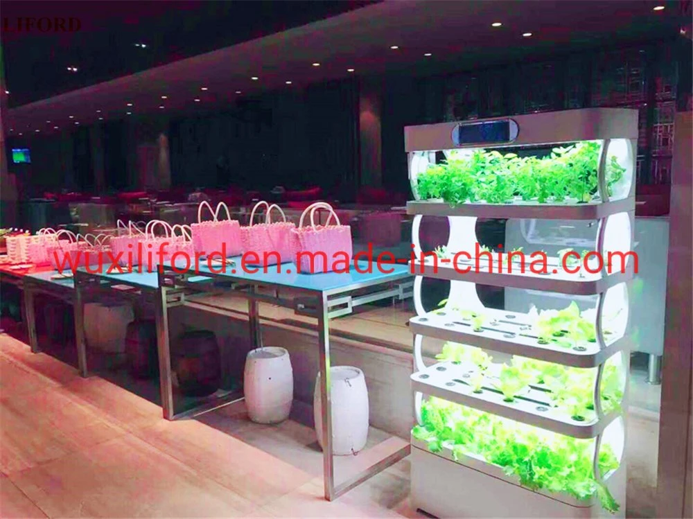 Home Garden Indoor Hydroponics Growing System for Planting Vegetables