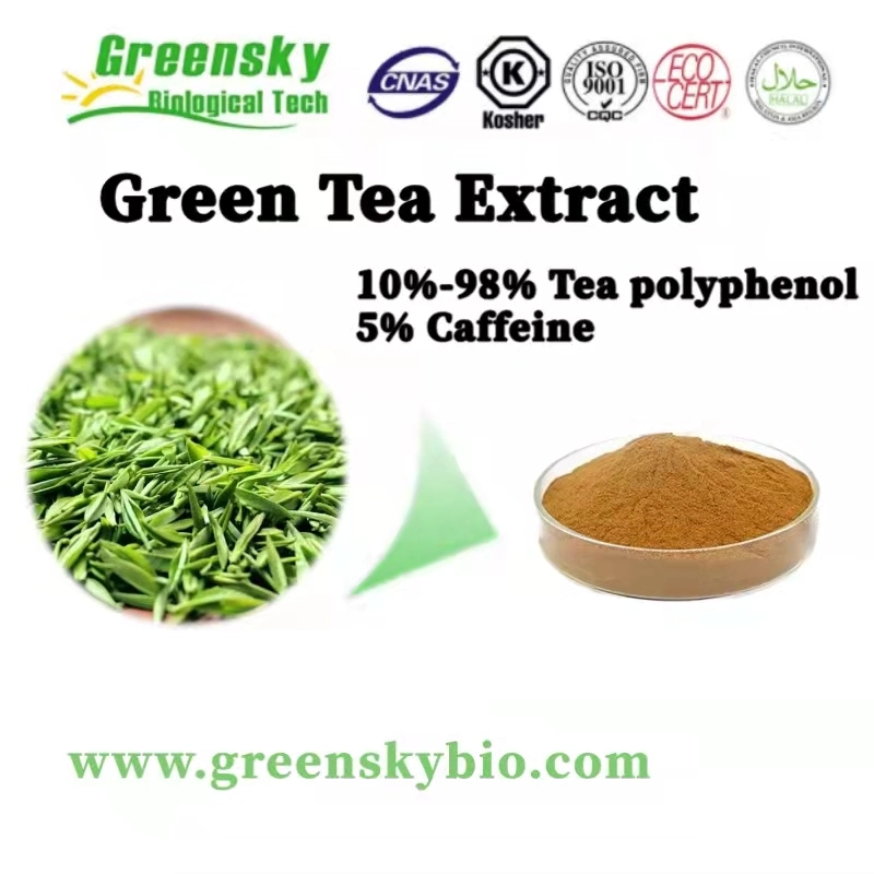 Natural Food Grade Green Tea Extract 10%-98% Tea Polyphenol Brown Yellow Powder Plant Extract Herbal Extract Pure Natural