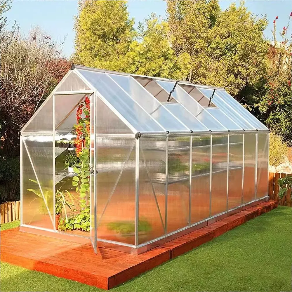 PC Board Film Glass Greenhouse with Electric Heat Cool Fan Boiler/Hydroponic for Cabbage/Strawberry/Cherry/Luffa/Potato