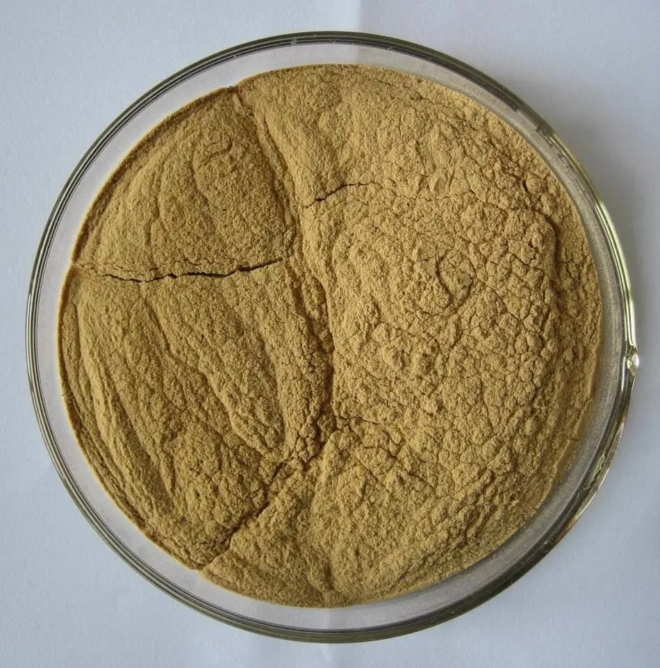 Improve The Human Sexual Function Tongkat Ali Extract / Eurycoma Longifolia Powder Extract