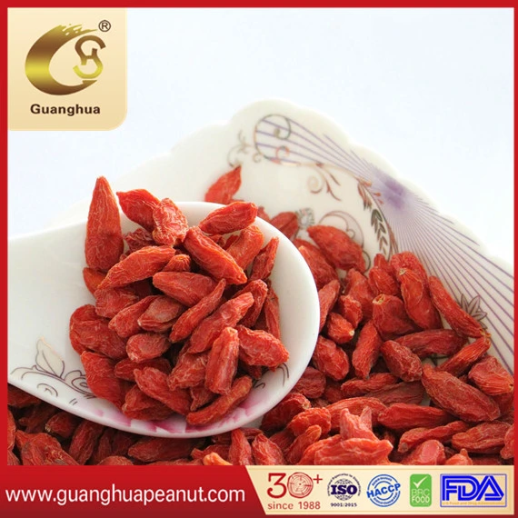 The Best Dried Goji Berry with Health and Good Quality