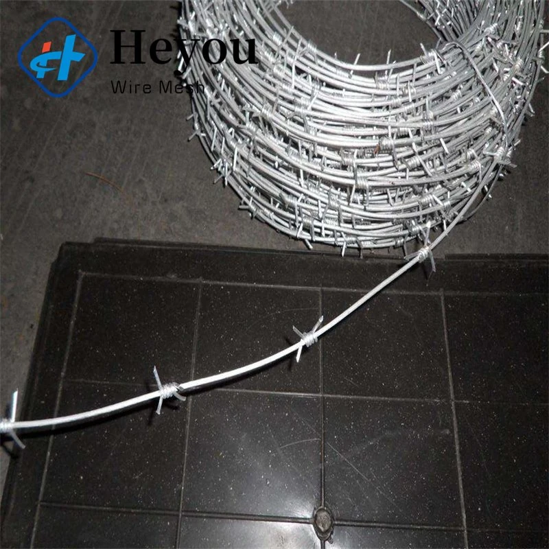 Spot Production High Tensile Galvanized Razor Sharp Steel Blade with Razor Blades Security Wire Fence Concertina Razor Wire Protecting Mesh, Fence Mesh