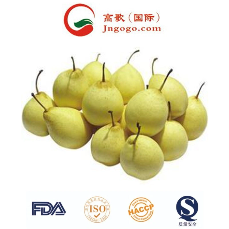 New Crop Chinese Fresh Ya Pear Fresh Fruits