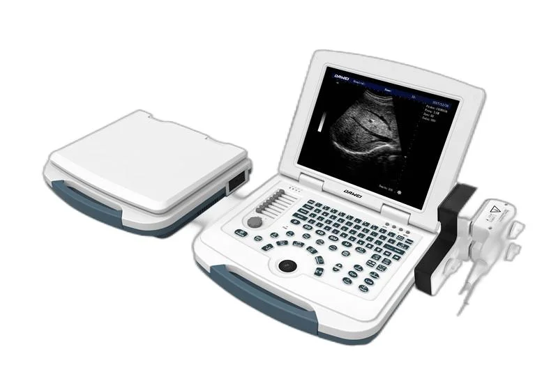 Dw-580 Hot Selling Portable Full Digital Black and White Ultrasound System