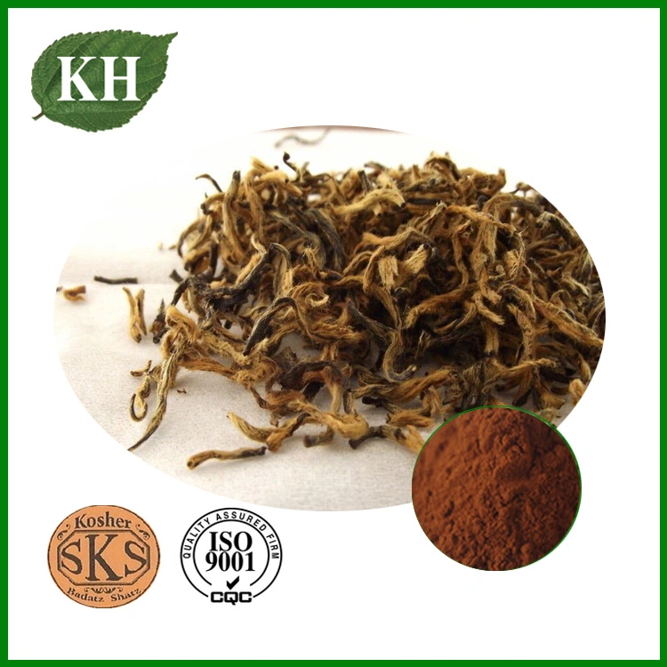 High quality/High cost performance  Black Tea Extract Theaflavines