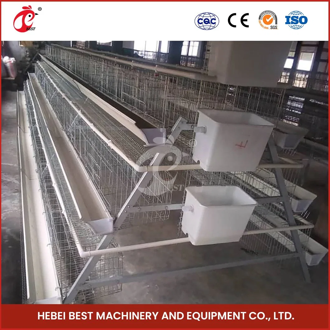 Bestchickencuage um tipo Cage Cage China Layer Cage Equipamento de galinha Amostra de fábrica disponível gaiolas de camada de aves Configuração recipiente de transporte galinha Coop