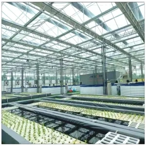 Agricultural Factory Multi-Span Tomato Lettuce Plants Polycarbonate Sheet Greenhouse Hydroponic System