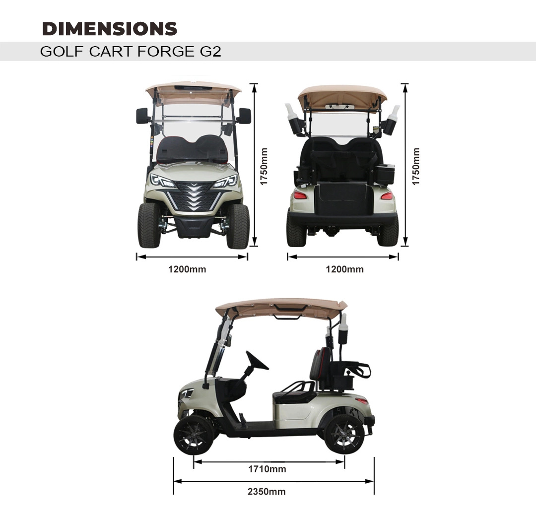 Custom 2+2 Seats Electric Hunting Golf Cart with High Popularity and Professional Design