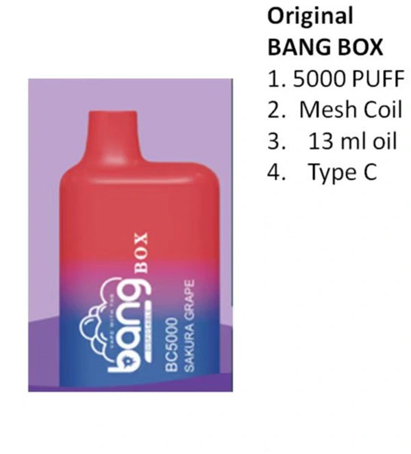 Sabor puro Bang Box BC5000 5000puffs Mini E cigarrillos bares Dispositivo de Pods desechable de bobina de malla VAPE cartucho de podómetro prellenado de lápiz Recargable vs RM Elf Box 5K