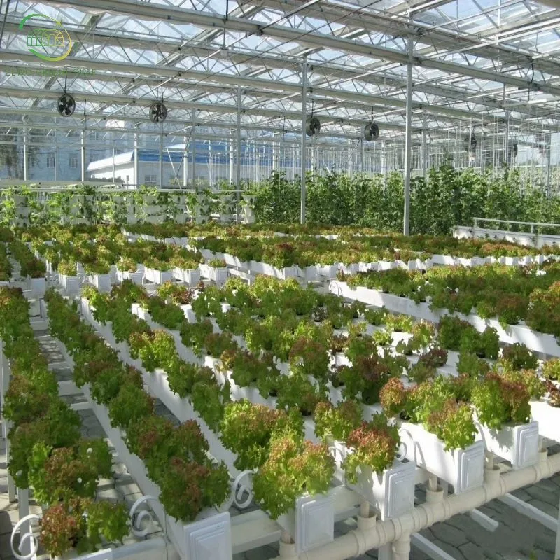 Estufa de filme de túnel de Greenhouses vegetais de Hydroponics rentável Verde Agrícola Casas para Venda