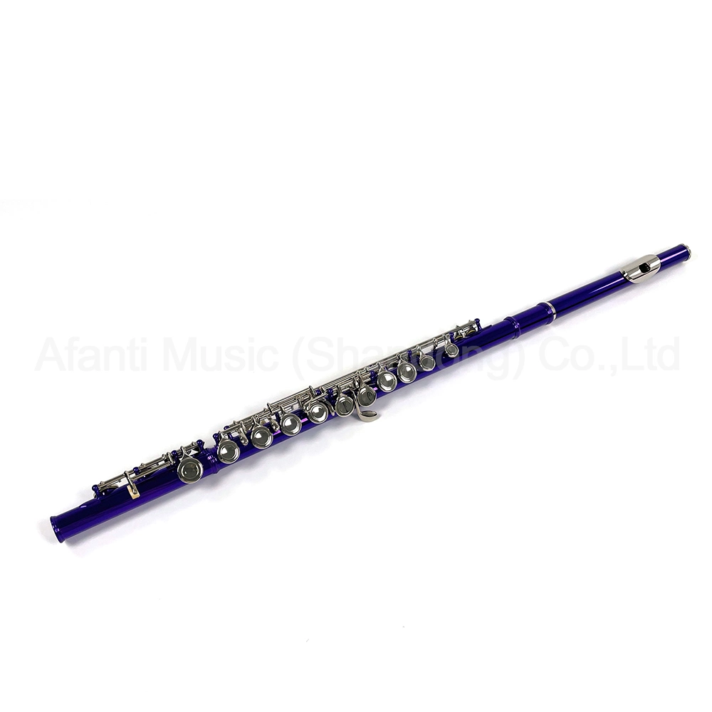 Afanti Selection Quality Student 16 Closed Holes Purple Flute