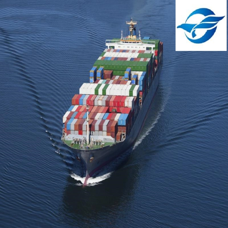 International Logistics Agent Sea Shipping to Ethiopia