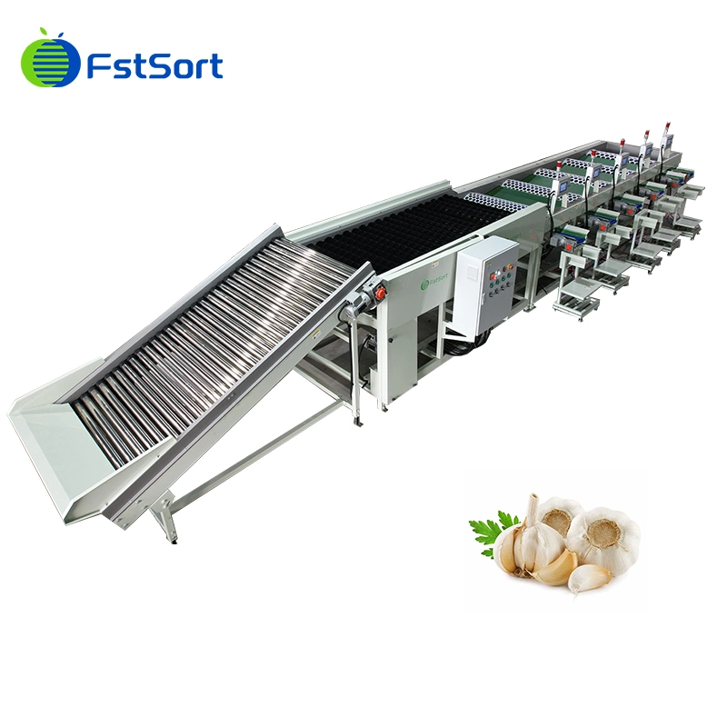 Hohe Effizienz Automatische Knoblauchbrechung Peeling Sortiermaschine Knoblauch Reiniger Maschine Knoblauch Waschmaschine zum Verkauf