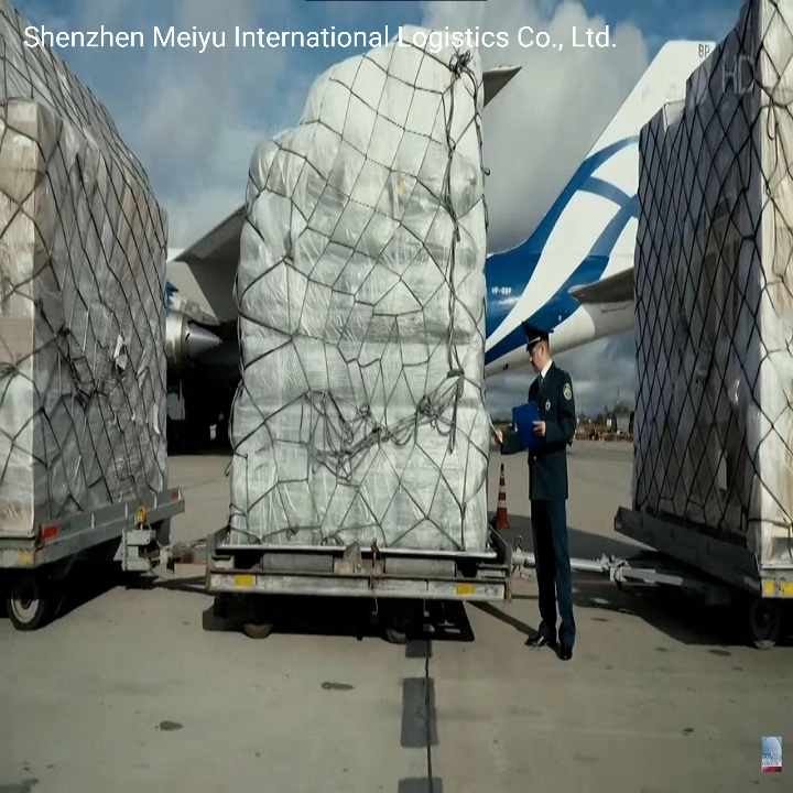 DDP Air Shipping International Freight Forwarder Air Cargo to France Poland Netherlands Germany