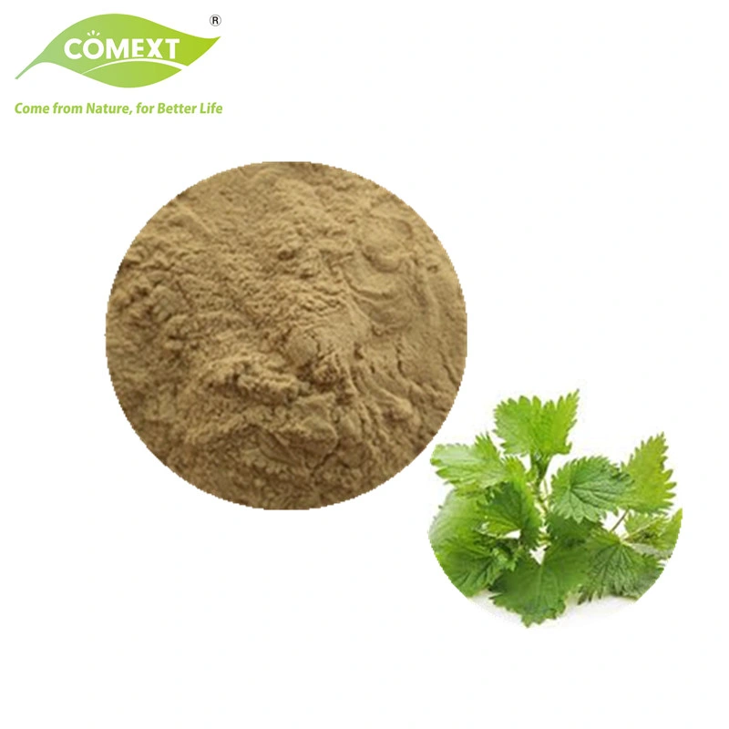 Comext ISO Certified Factory Natural Nettle Leaf Extract Powder &beta; -Sterols 1% by UV