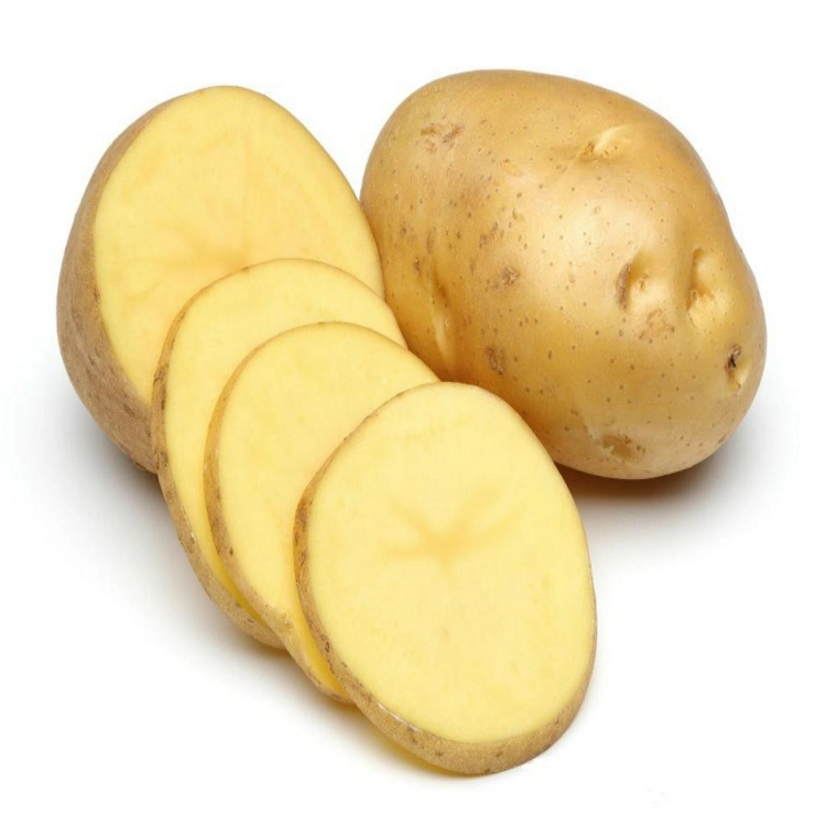 Fresh Potato for Cooking High quality/High cost performance  Potato with Top Grade Export