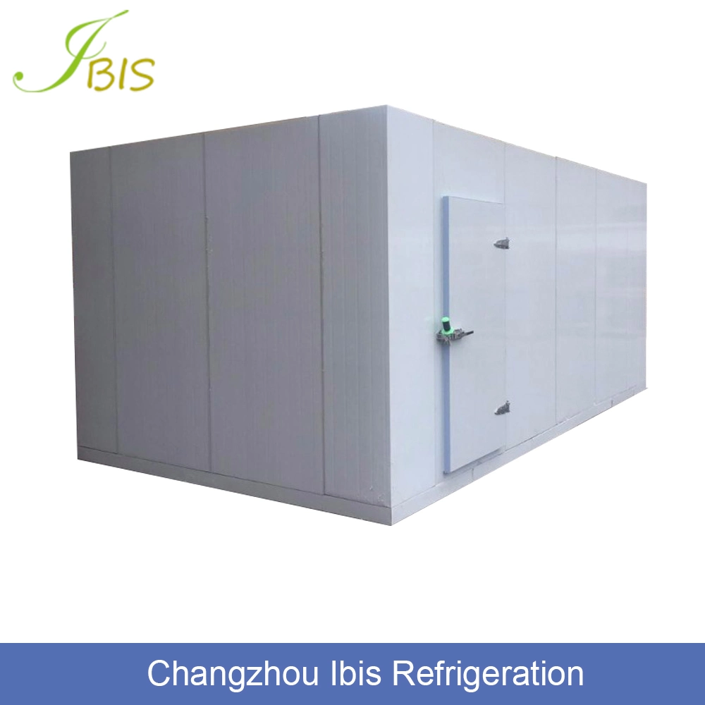 Chambre froide réfrigérateur congélateur