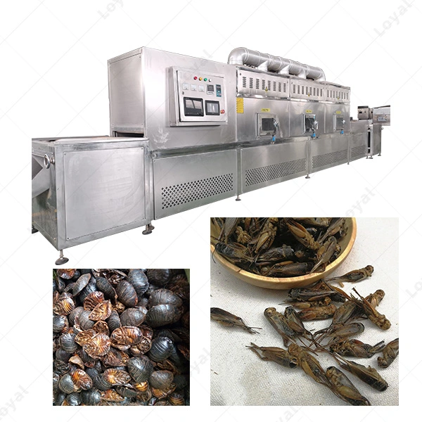 Black Soldier Fly Larvae Cricket Grasshopper Mealworm Insect Microwave Drying Sterilization Machine