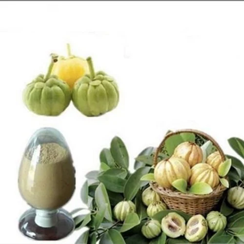 E. K Herb China líder fábrica 100% Natural Garcinia Cambodia Extract Weight Loss Hydroxy cítrico Acid (HCA) pó orgânico Garcinia Cambodia Extract