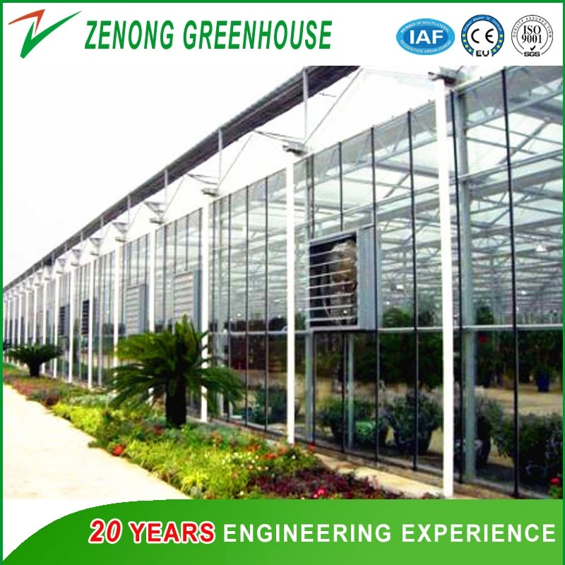 Easy Install Steel Structure Glass Greenhouse for Agriculture/Vegetable/Flower