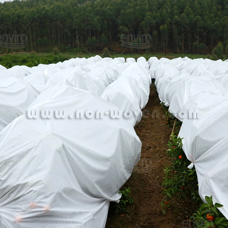 Les fruits Sac de protection UV La couverture du sol Tissu Non tisse la couverture du sol agricole