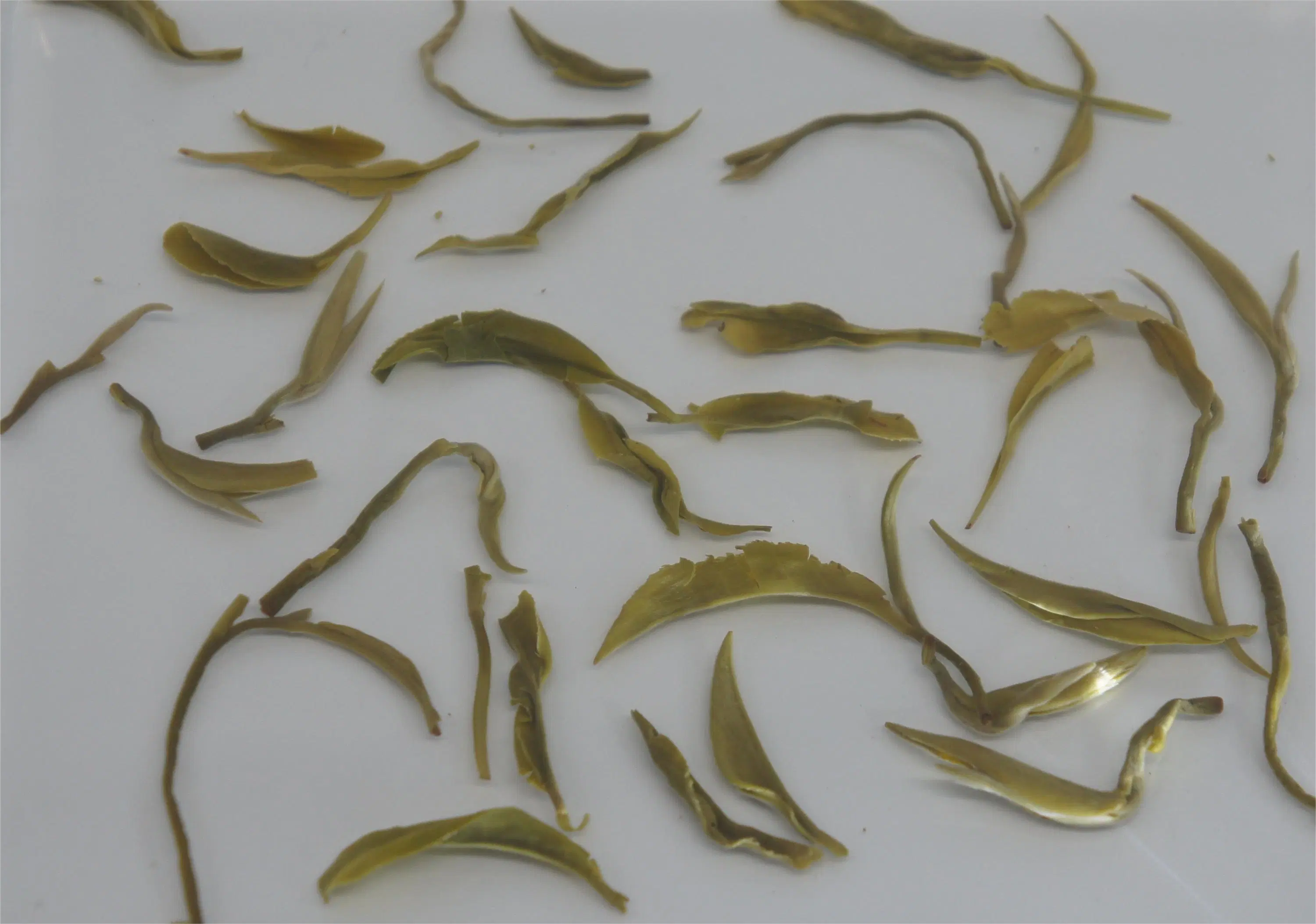 China Guizhou Duyun Green Tea High quality/High cost performance Green Tea