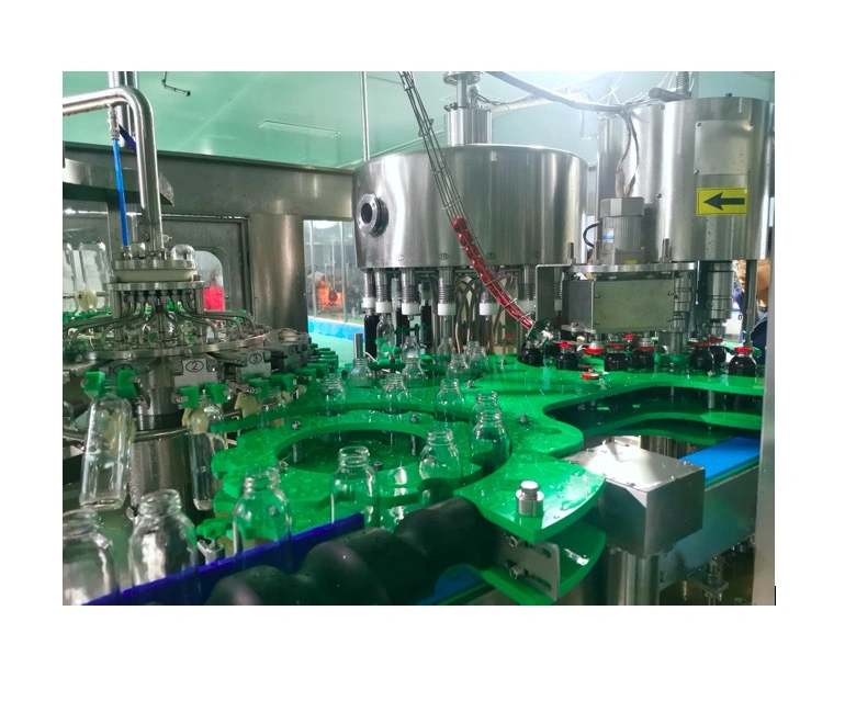 Automatic 3 in 1 Glass Bottle Mango Orange Juice Washing Filling Capping Machine Production Plant with Lid