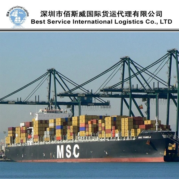 Safe and Cheapest Ocean Shipping International Forwarder Freight to Sea Fright From China to Argentina