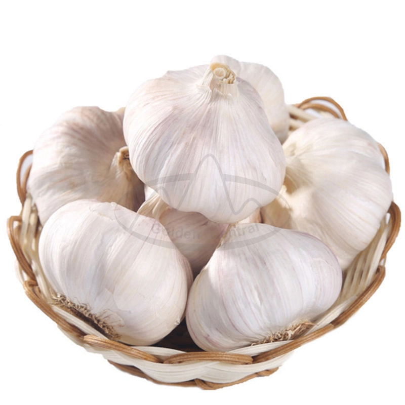 Wholesale/Supplier Fresh Garlic Chinese Supplier Shandong Garlic Fresh Dried White Garlic